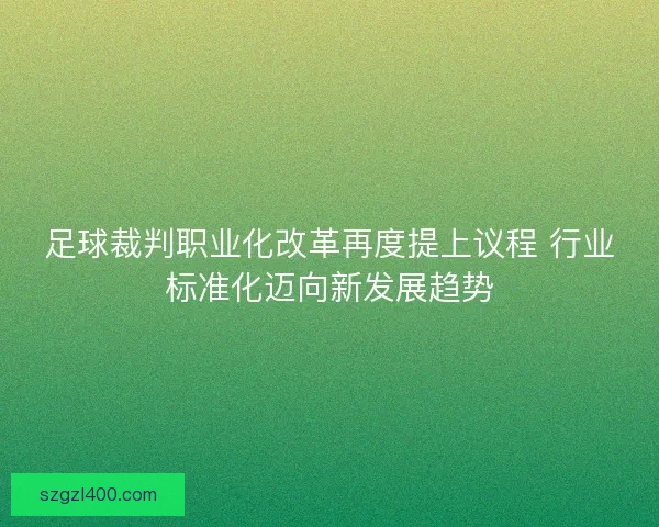 足球裁判职业化改革再度提上议程 行业标准化迈向新发展趋势