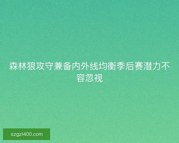 森林狼攻守兼备内外线均衡季后赛潜力不容忽视